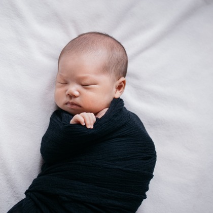 植村由理が出張撮影した多年生植物, 花粉, つま先などが写った「マリちゃん」の家族写真