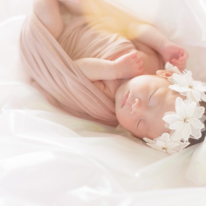 合同会社PHOTO FACTORY LARが撮影した「:albumName」の写真