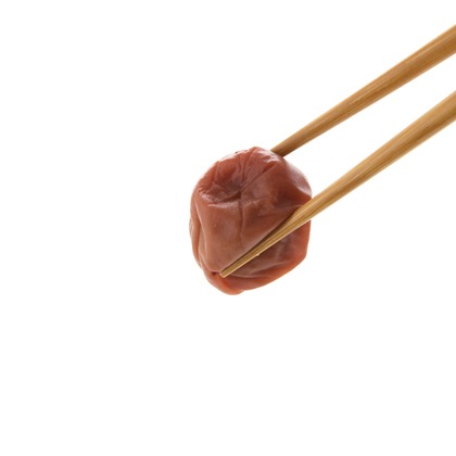 西城 泰輔が撮影した「:albumName」の写真