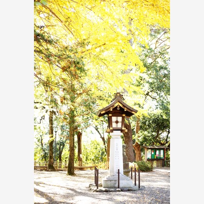 出張撮影HUG TIMEが撮影した「:albumName」の写真