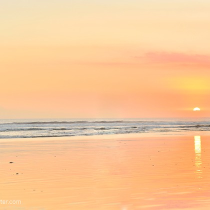 studio MONSTER（小原 実）が撮影した「:albumName」の写真