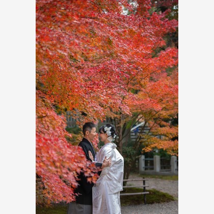 saruco(岩崎寿）が撮影した「:albumName」の写真