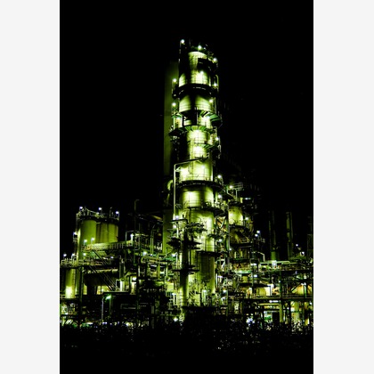 KotobukiPhotosが撮影した「:albumName」の写真