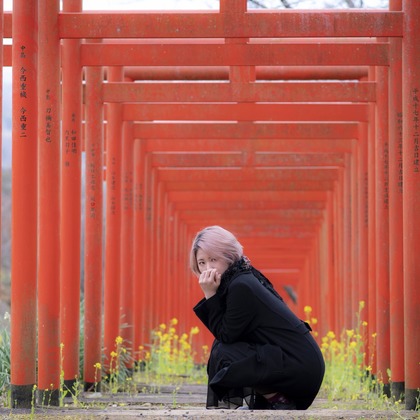 ならもとかずやが撮影した「:albumName」の写真