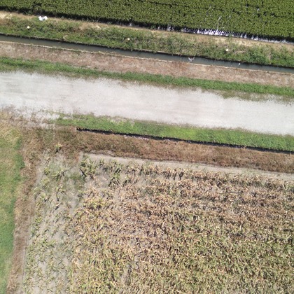 アナハイムエレクトロニクスが撮影したその他の写真