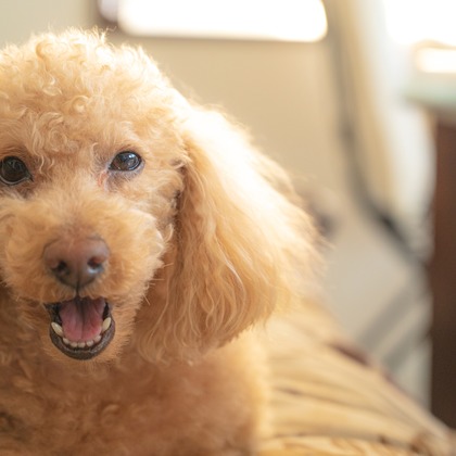 高木勇斗が撮影したイベント/スナップ撮影の写真