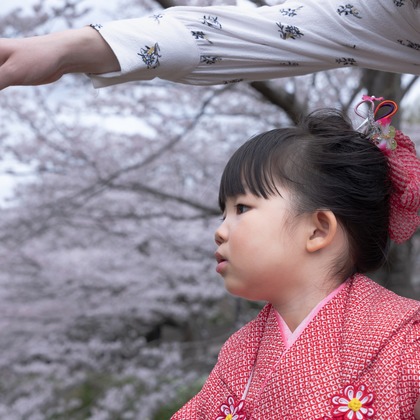 ミヤタカズコが撮影した「:albumName」の写真