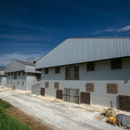 Creative Brand　Crows Nestが撮影した「:albumName」の写真