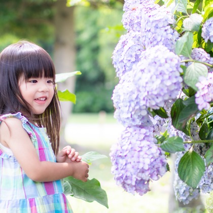 かわもとえつこが撮影した「:albumName」の写真