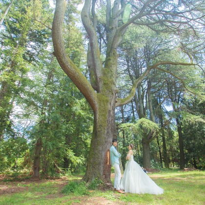 k.filmsが撮影した「ウェディング・結婚」のウェディングフォト - :albumName