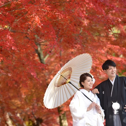 キキフォトワークスが撮影した「:albumName」の写真