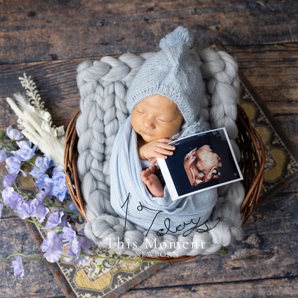 This Momentが撮影した「:albumName」の写真