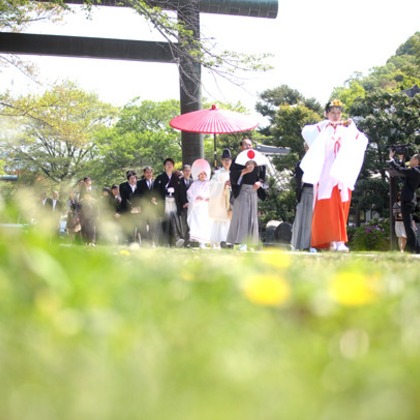 ピュアアーティス(小島 靖雄)が撮影したウェディングや家族、ビジネスの写真