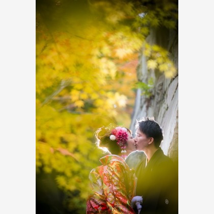 ピュアアーティス(小島 靖雄)が撮影した「:albumName」の写真