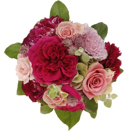 有限会社　澤田スタジオが撮影した「:albumName」の写真