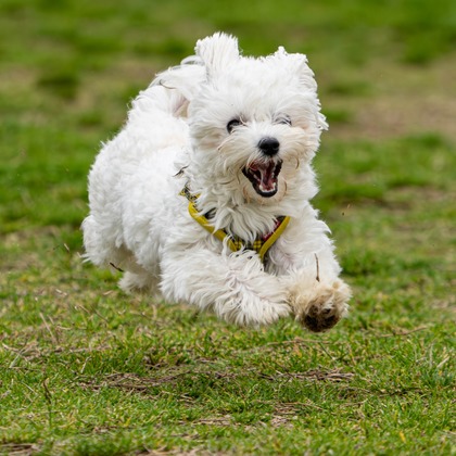 河野慈圓が撮影した「:albumName」の写真