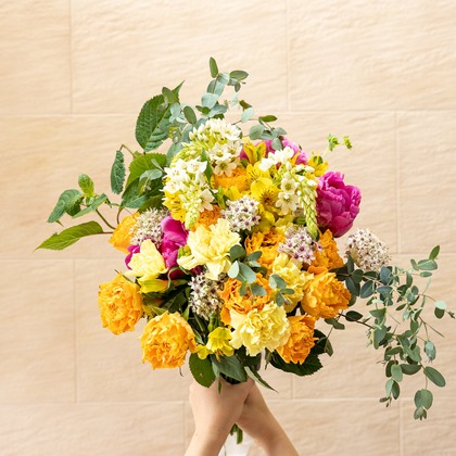 大森光太郎・K-PHOTOが撮影した「:albumName」の写真