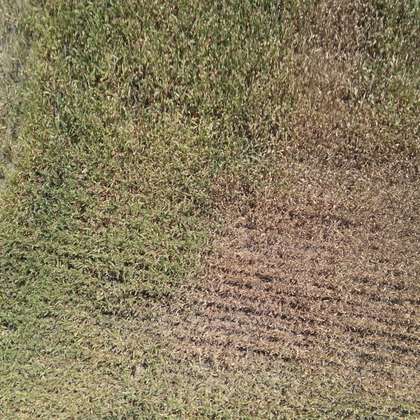 アナハイムエレクトロニクスが撮影したその他の写真