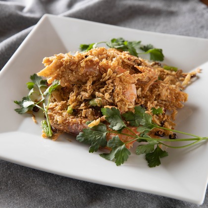 北林事務所が撮影した「:albumName」の写真