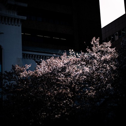 堀内 陽希が撮影したイベント/スナップ撮影の写真