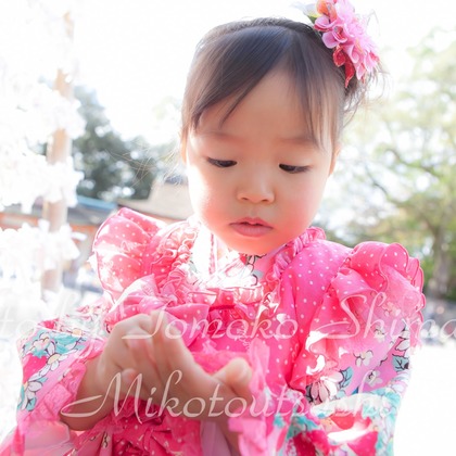 Tomoko Shimaharaが撮影した「:albumName」の写真