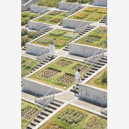 吉本悠哉が撮影した「ウェディング前撮り」の写真