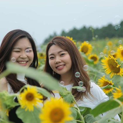 理 S PHOTOが撮影した「:albumName」の写真