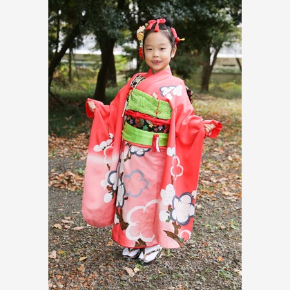 今井写真事務所　今井　良が撮影した「:albumName」の写真