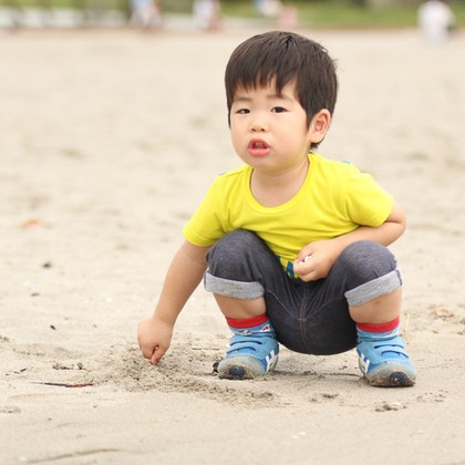 今井写真事務所　今井　良が撮影した「:albumName」の写真