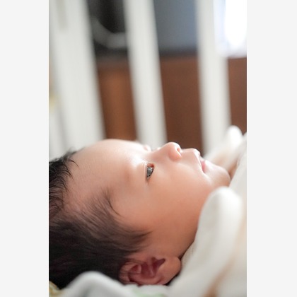 THALISHが撮影した家族写真の出張撮影の写真