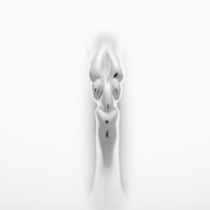 y-photoが撮影した「:albumName」の写真