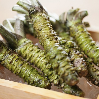 合同会社ワンダースリーが撮影した「:albumName」の写真