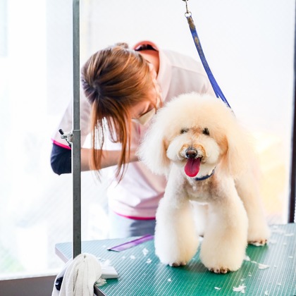 出張撮影 中村まみこが撮影した店舗/オフィス/サロン撮影の写真