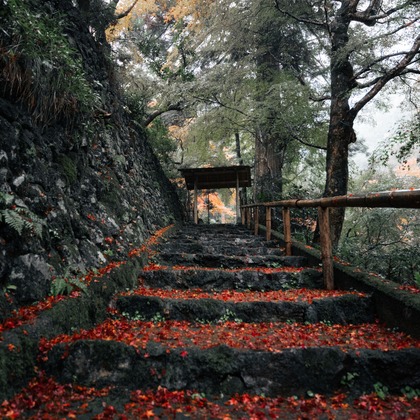 鈴木香那枝が撮影した「京都府中川町の取材撮影」の写真
