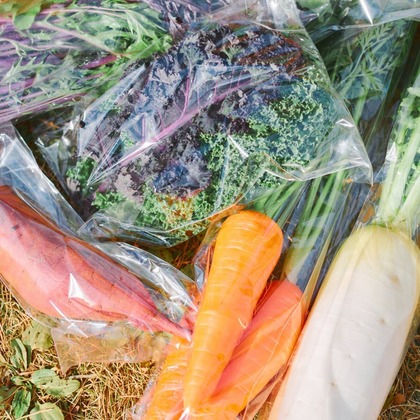 Shun Kanazawaが撮影した「:albumName」の写真