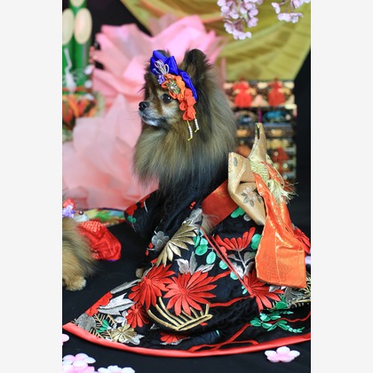 高橋 透（Coo&Sea STUDIO代表）が出張撮影した「お正月撮影会2020@新横浜Coo&Sea STUDIO」の家族写真