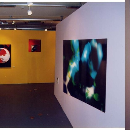 山岡龍矢が撮影した「:albumName」の写真