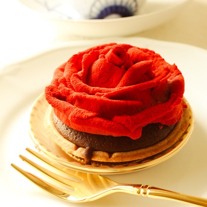 横井裕子が撮影したウェディングや家族、ビジネスの写真