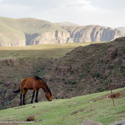 Katsuhiko Suzukiが撮影した「:albumName」の写真