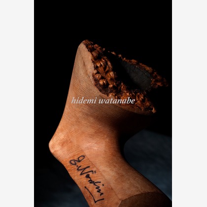 Silver Back Studioが撮影した「:albumName」の写真