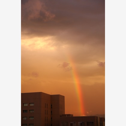 blink photoが撮影したウェディングや家族、ビジネスの写真