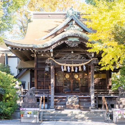 森元こずえが出張撮影した現代ファンタジーの王国, フラッシュ撮影, ジェスチャーなどが写った「七五三」の家族写真