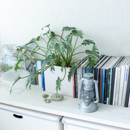 眞田 厚司が撮影した不動産/竣工の写真