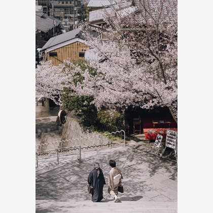 三谷 朋也が撮影したその他の写真