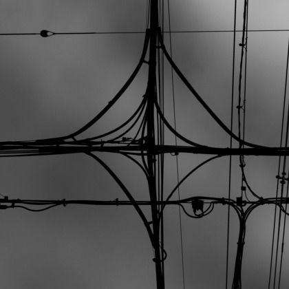 Green Backasが撮影したイベント/スナップ撮影/人物撮影の写真