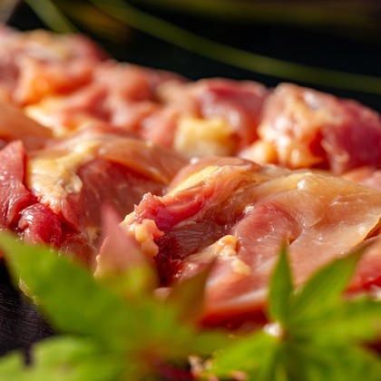 野口　恭平が撮影した料理撮影の写真