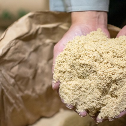 内藤駿介が撮影した「:albumName」の写真