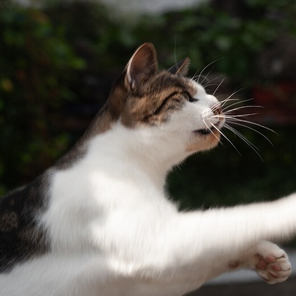 十時写真事務所が撮影したウェディングや家族、ビジネスの写真