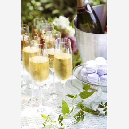 柴　有司が撮影した料理撮影の写真