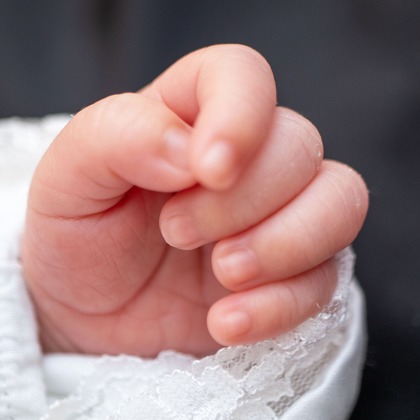 岩坪眞一郎が撮影した「:albumName」の写真